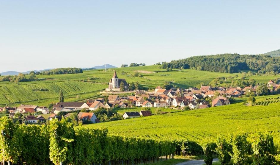 Husseren-Wesserling Relais Des Vosges 아파트 외부 사진